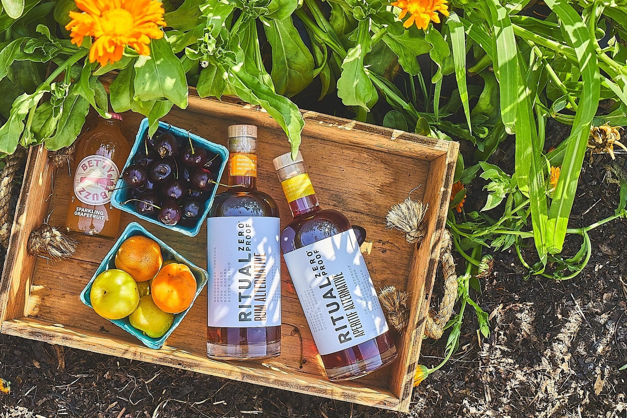 Amber Waves Farm x Boisson Summer 2023 Partnership - Boisson