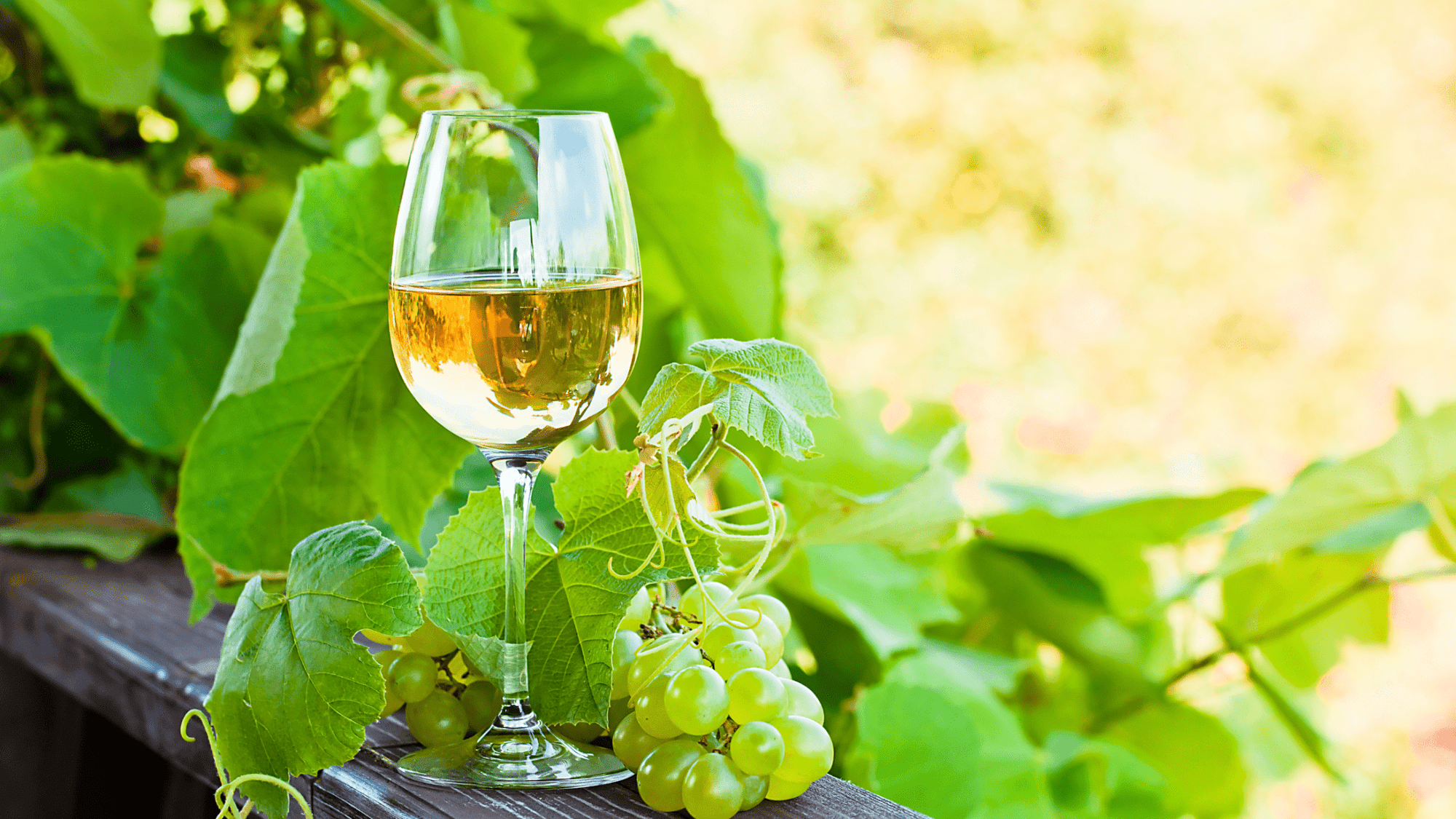 Best Non-Alcoholic Chardonnays To Sip in Summer 2023 - Boisson