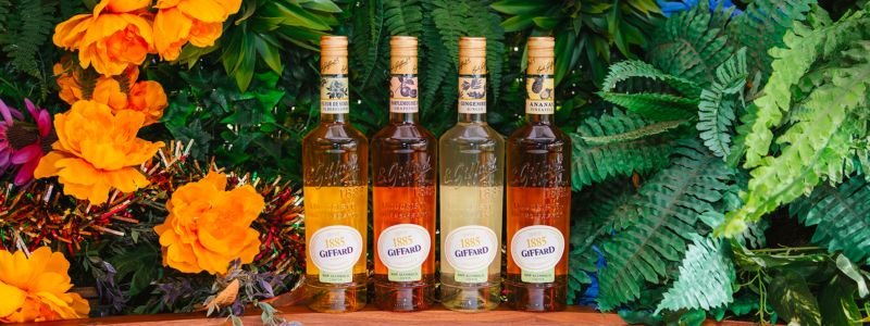 Bringing Generations of Culture to the NA Space: Q&A with Giffard Liqueurs - Boisson