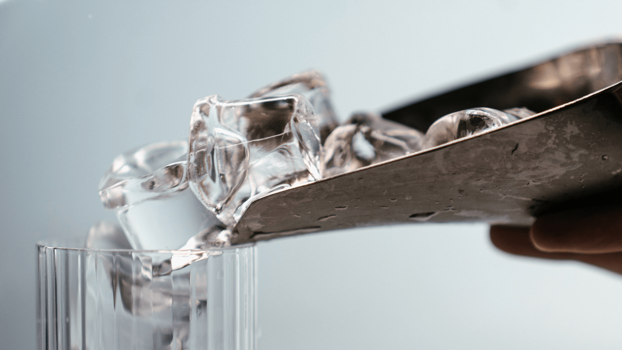 Ice and Cocktails: Everything You Need to Know - Boisson