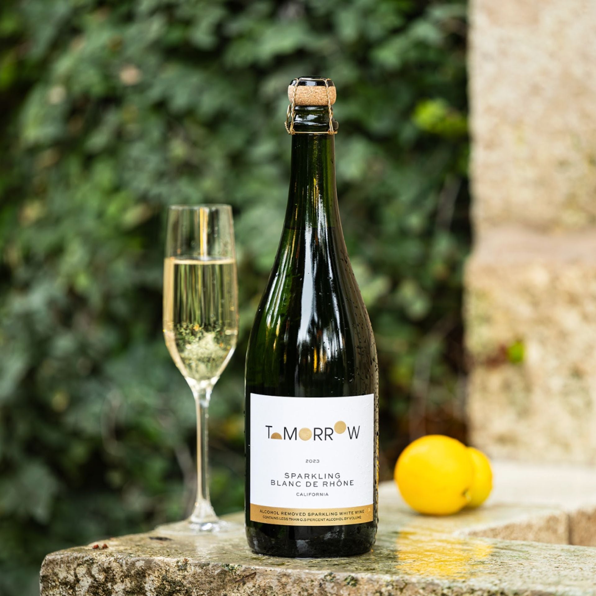 Tomorrow Cellars - 2023 Sparkling Blanc De Rhône 750ml – Boisson