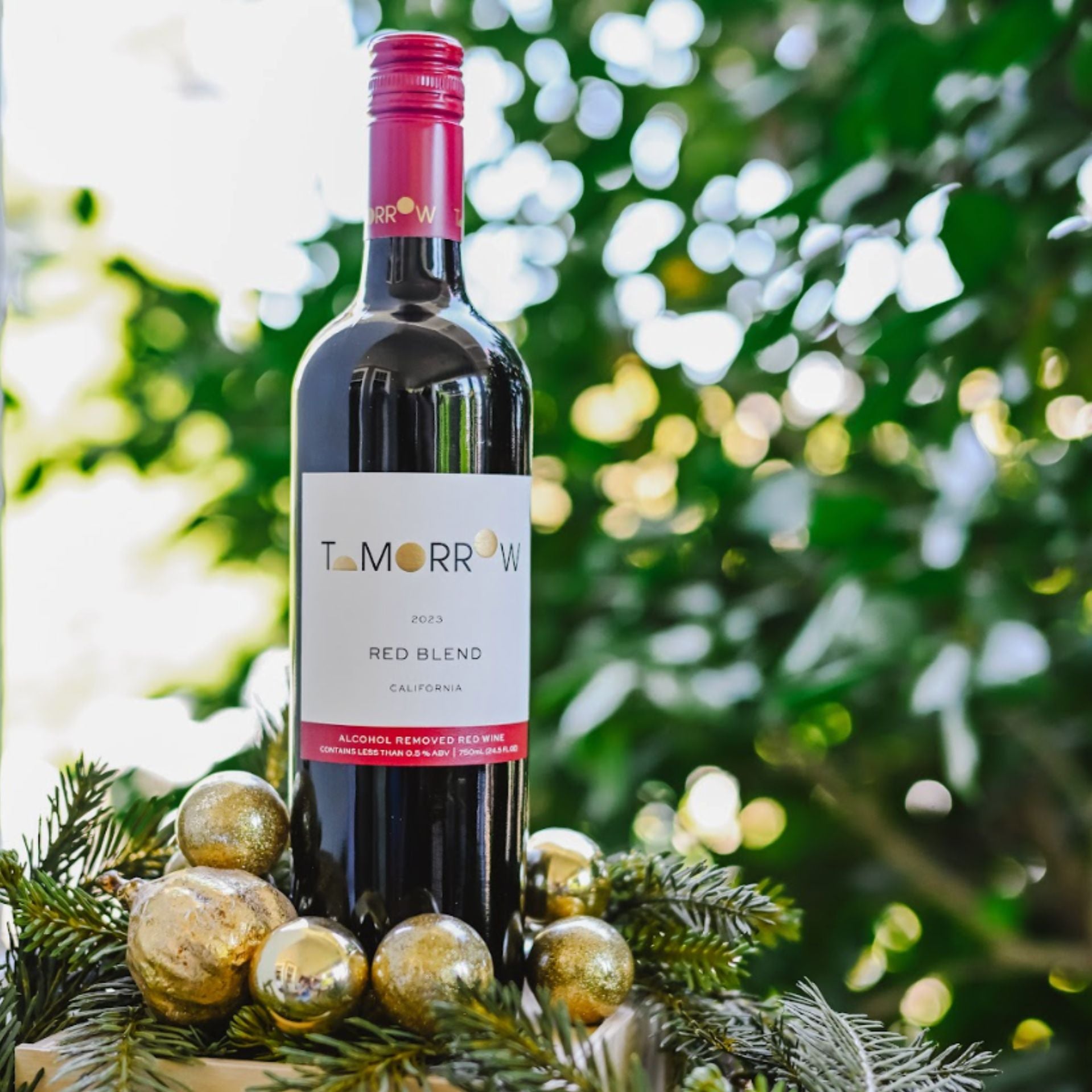 Tomorrow Cellars - 2023 Red Blend 750 ml