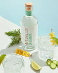 Ritual - Gin Alternative - Non-Alcoholic Spirit