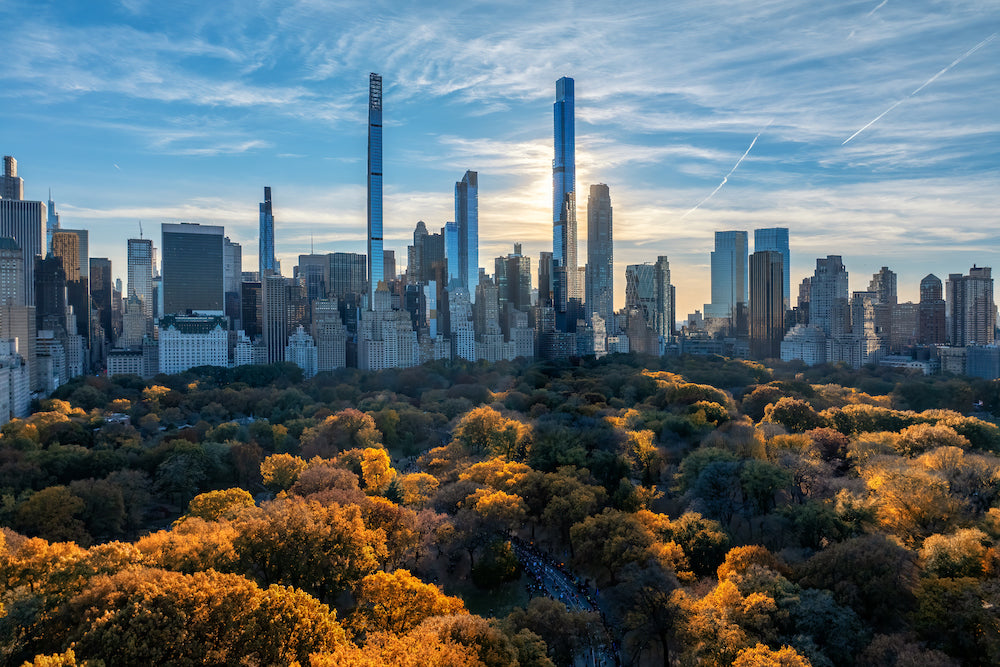 City skyline with tall buildings and trees in the foreground