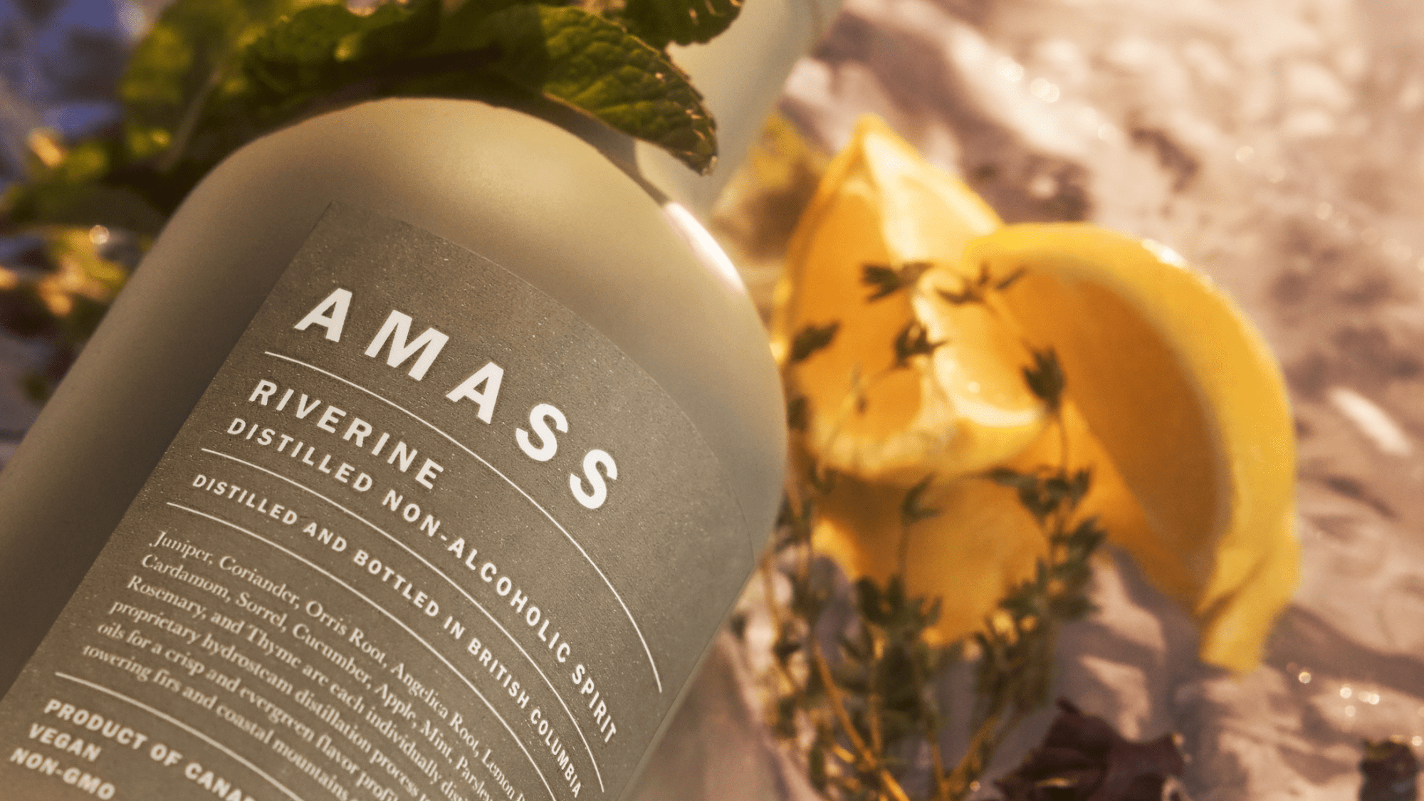 Q&A with Morgan McLachlan, co-founder and Master Distiller of AMASS botanics - Boisson
