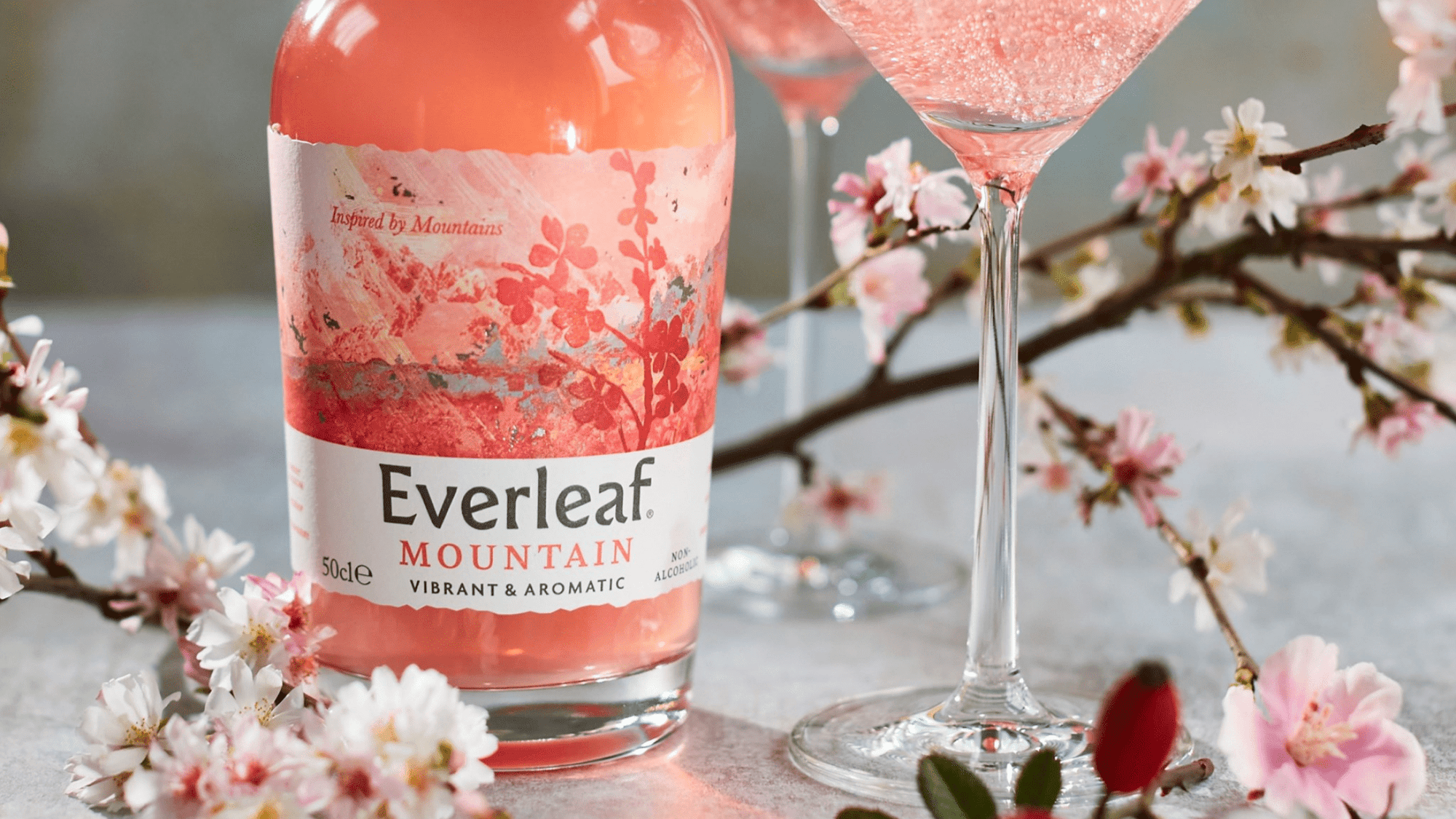 Q&A with Paul Mathew: Enjoying Cherry Blossoms With The Founder of Everleaf - Boisson