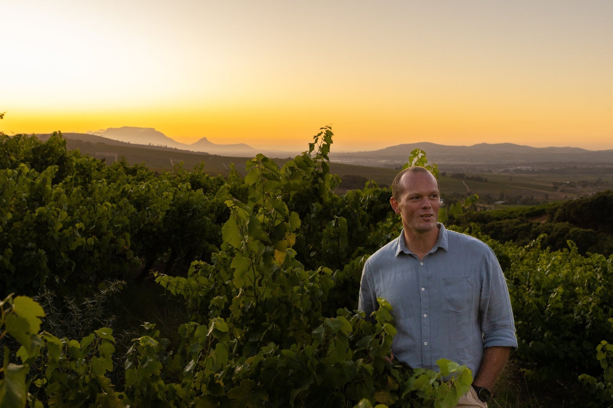 The Finesse of Non-Alcoholic Wine: Q&A with Lautus Founder & Winemaker Reg Holder - Boisson