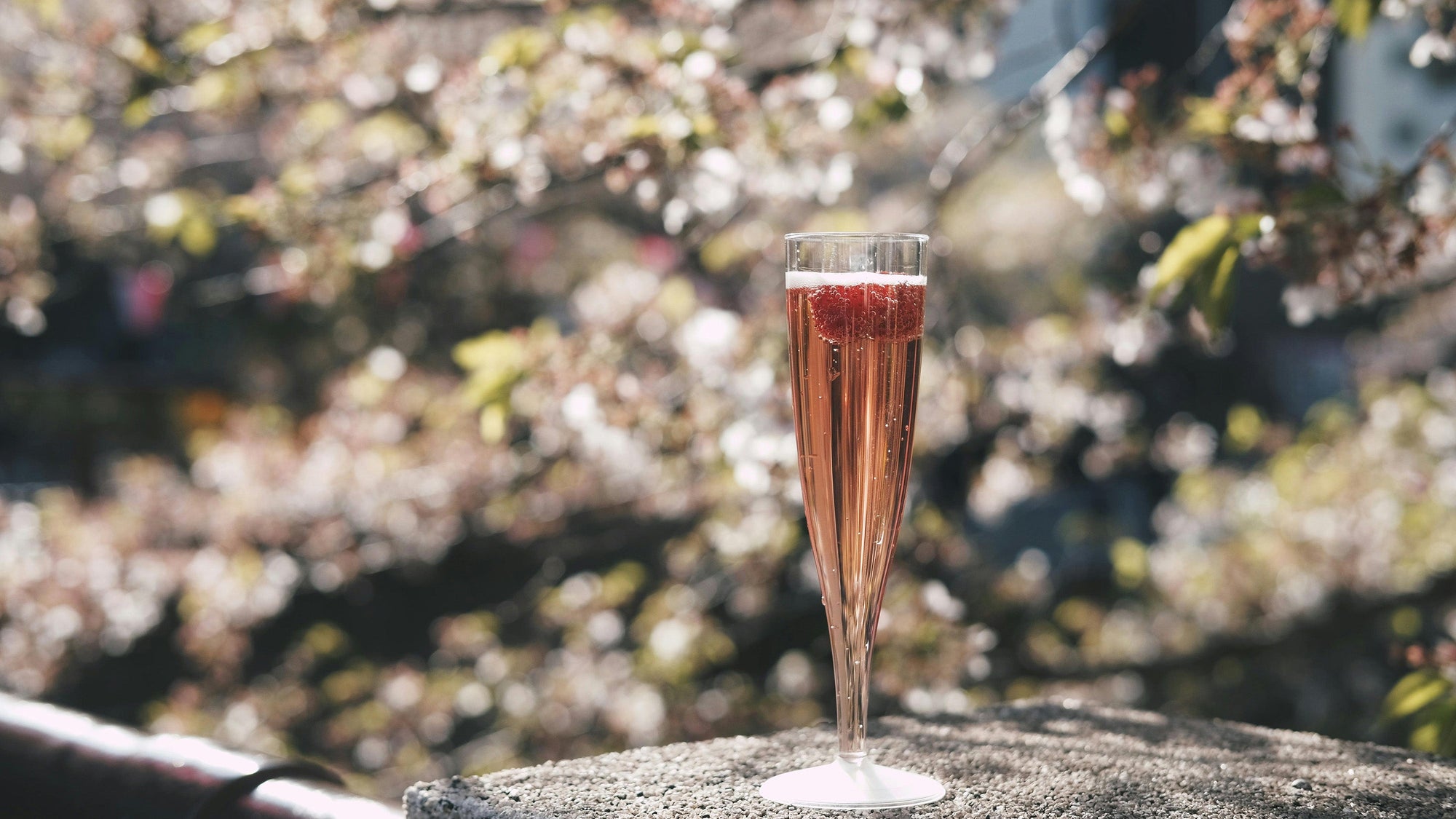 Boisson in Bloom