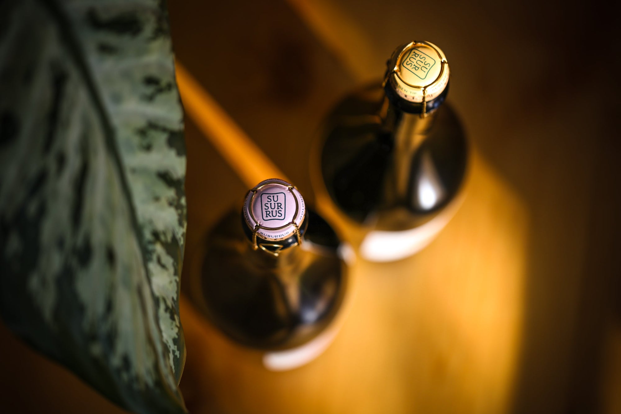 Susurrus Sparkling Tea shot by Emma Kruch / Emma K Creative