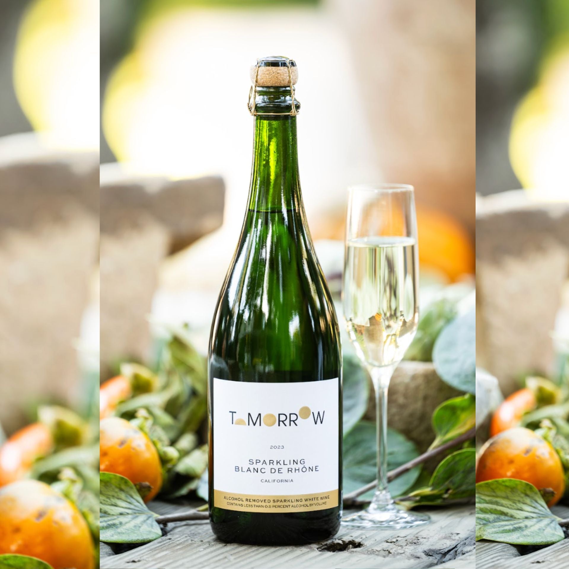 Tomorrow Cellars - 2023 Sparkling Blanc De Rhône 750ml