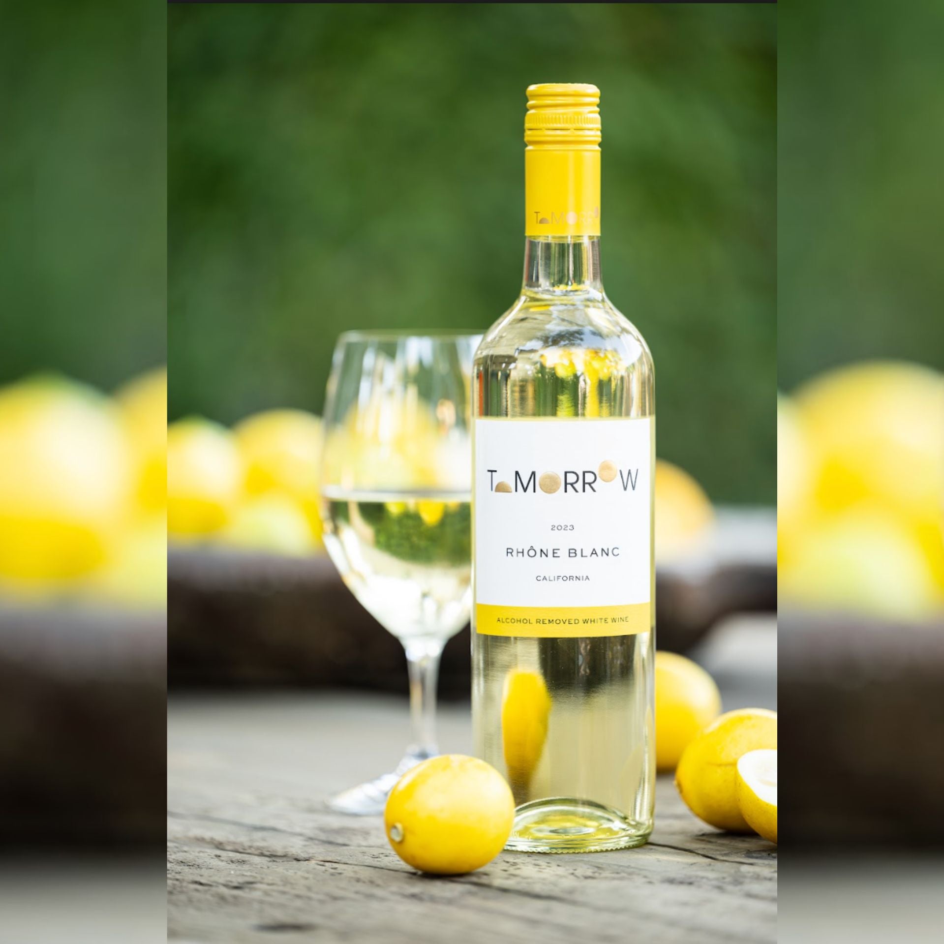 Tomorrow Cellars - 2024 Rhone Blanc 750ml