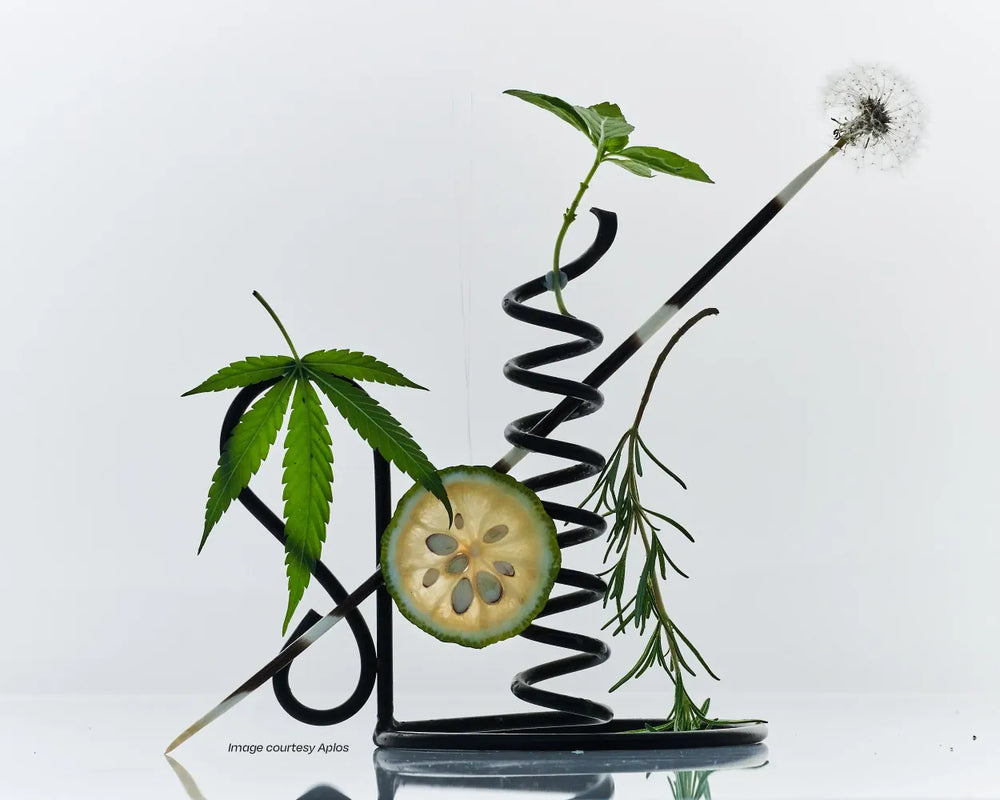 Boisson — Buy NonAlcoholic Drinks, Spirits, Wines, & Beers Online