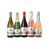 Zeno - Sample Bundle - 5 Bottles