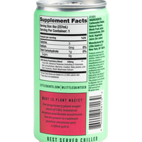Little Saints - Negroni Spritz Plant Magic Mocktail - 8oz Can - Boisson — Brooklyn's Non-Alcoholic Spirits, Beer, Wine, and Home Bar Shop in Cobble Hill