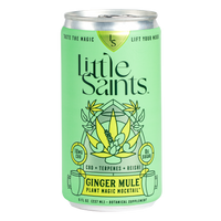 Little Saints - Ginger Mule Plant Magic Mocktail - 8oz Can - Boisson — Brooklyn's Non-Alcoholic Spirits, Beer, Wine, and Home Bar Shop in Cobble Hill