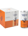 Pentire - Coastal Spritz - 200ml 4pk Can