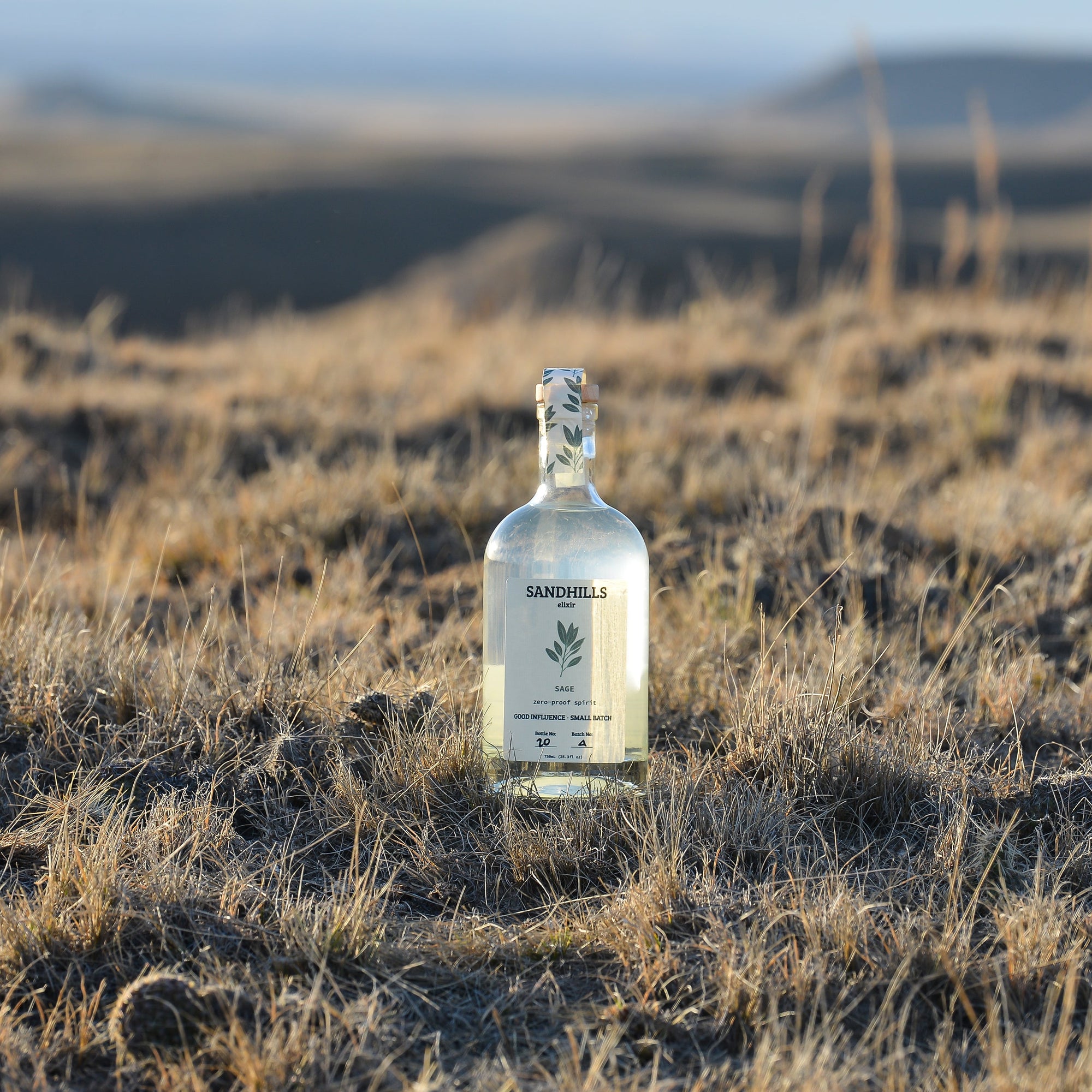 Bottle of Sandhills gin in a desert landscape