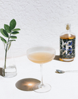 Cocktail glass with a drink, bottle, and plant on a white surface