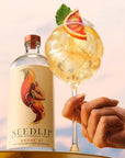 Seedlip - Grove 42 - Non-Alcoholic Distilled Spirit - Lifestyle