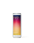 Hiyo - Blackberry Lemon Sparkling Social Tonic - Single Can - Boisson — Brooklyn's Non-Alcoholic Spirits, Beer, Wine, and Home Bar Shop in Cobble Hill