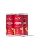 AVEC Spiced Mango & Passionfruit Non-Alcoholic Sparkling Beverage (4 pack) - Boisson